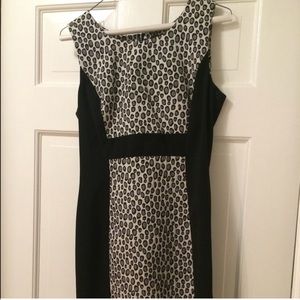 Rachel Zoe sheath dress size 6 NWT